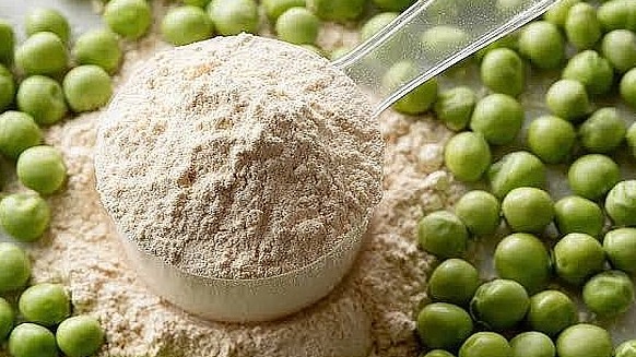 PEA PROTEIN ISOLATE